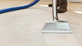 Carpet cleaning wand head gliding over a light carpet during hot-water extraction, Mesa, AZ.
