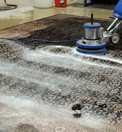 Professional rug cleaning with a rotary floor machine and shampoo foam, deep-cleaning an area rug Mesa, AZ.